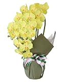 山久 【胡蝶蘭 3本立ち】 グリーンイエロー 0704-2039-ｙｇ シルクフラワー （CT触媒加工） 【造花】