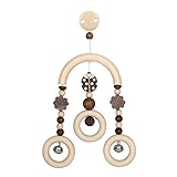 Heimess Baby Gym Ladybird Baby Toy Brown [並行輸入品]