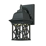 Triarch International 78140-10 Energy Efficient 1-Light CFL Outdoor Wall Sconce, Blacksmith Bronze F