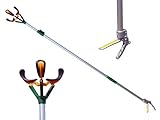 Zenport ZL6146A 6 ft. Telescopic Fruit Picker Long Reach Fruit Harvester [並行輸入品]