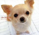 くるくるくぅ-: 癒し犬くぅ-ちゃんフォトブック