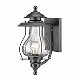Acclaim 8201BK Blue Ridge Collection 1-Light Wall Mount Outdoor Light Fixture, Matte Black [並行輸入品]