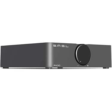 ADA T100s ステレオアンプ ADA T100s ステレオアンプ