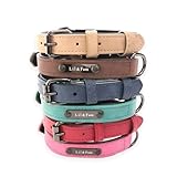 Lil＆Fam 犬 首輪 ベーシック シンプルデザイン 小型犬 中型犬 大型犬 犬の首輪 PU レザー おしゃれ (ラテベージュ, M)