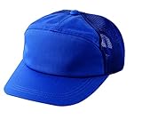 RAKAN 年中 メッシュアポロ作業帽 ブルー5359-30-フリー