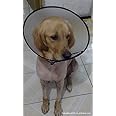 STOP！舐め癖 [sealche] エリザベスカラー 犬 猫 ソフト 半透明 軽量 ドーナツ XSサイズ（首周り17-19cm、幅8cm） 全９サイズ 小型 小型犬
