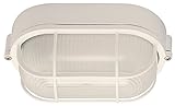 Canarm IOL16WH The Outdoor 1-Bulb Flush Mount Exterior Light with Frosted Glass Globe, White [並行輸入品]