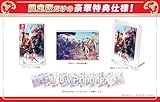 千銃士:Rhodoknight for Nintendo Switch 限定版 -Switch 【特典】B5サイズ設定資料集、B5サイズアクリルボード、PALETONE クリアポストカード 9種セット、PALETONE A5サイズ集合イラストカード、八破ツバシ書きおろしSS 同梱