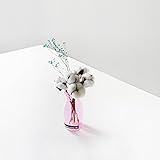 【Blooming＆me】フラワーデザイナーおすすめ おしゃれ度UP！ドライフラワー コットンフラワー 綿花＆かすみ草＋カラー瓶SET (グリーン) [並行輸入品]