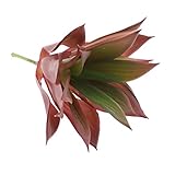 Homyl 人工多肉植物　飾り　花束作り　手芸材料