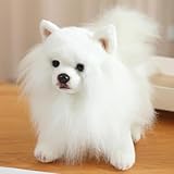 YABINA TOYS リアルぬいぐるみ シーズー 犬 動物 おもちゃイヌ マルチーズ犬 マルタ子 犬人形 可愛いおもちゃ ギフト (ポメラニアン(ホワイト))