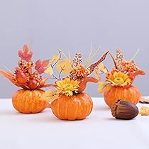 41kSyhR7hwL._AC_UL210_SR210,