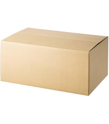 Amazon.co.jp: カインズ(CAINZ) 強度2倍 持ち手付き重量用段ボール M-2