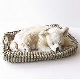 ニニアンドキノ パーフェクトペット (小サイズ) チワワ ロング (クリーム) ぬいぐるみ 犬 いぬ イヌ リアル 本物 そっくり 雑貨 動物 アニマル 癒し 動く プレゼント ギフト お祝い かわいい 犬のぬいぐるみ