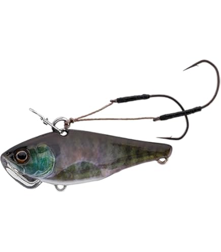 Amazon.co.jp: JACKALL(ジャッカル) シャッド ソウルシャッド DR SP