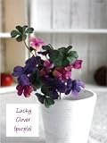 ラッキークローバーピック♪ 1束2本( パープル) 【造花・未触媒】【器なし】
