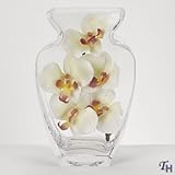 Badash Crystal CD727CL CLEAR VASE H10 in. - DALLAS