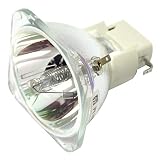 Rich Lighting プロジェクター 交換用 ランプ ランプ タイプ17 512822 (裸電球) RICOH PJ WX3351N WX3351 X3351N X3351 対応【180日保証】