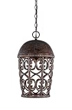 Designers Fountain 97594-BU Amherst 10 Inch Hanging Lantern [並行輸入品]