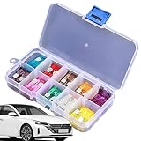 自動車用ヒューズ詰め合わせキット 自動車用ヒューズ詰め合わせキット | 中型オートヒューズセット,RV 用収納ボックス付き自動車用ヒューズ詰