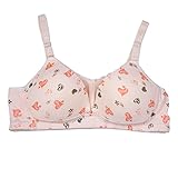 LUERME ブラジャー 妊婦ブラ 下着 前開き　ボタン付き 出産準備　授乳便利　産前産後　柔らかい (38, ライトグレー)