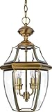 Quoizel NY1178A Newbury 2-Light Outdoor Hanging Lantern, Antique Brass by Quoizel
