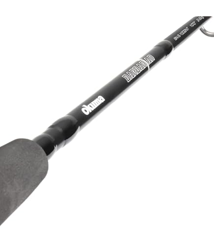 Daiwa DRAGGER X 100H-3 Shojiging Rod : Amazon.com.au: Sports