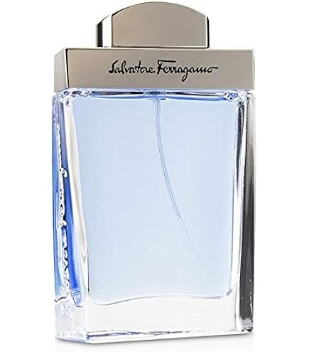 Amazon.co.jp: サルヴァトーレ フェラガモ サブティール プールオム