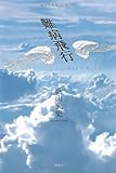 難病飛行: 頭は正常、体は異常。