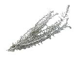 ヴェルモント ヘリクリサム ライトブルー 50ｇ