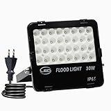 W-LITE led 投光器 30w 50w 100w 昼光色 作業灯 6000K 120度 防水加工 フラッドライト 看板灯 集魚灯 駐車場灯 ナイター 船舶 「改良版」 (昼光色, 30ワット)