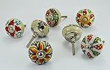 10 Pieces Set of Flower Painted Ceramic Knobs Drawer Pulls with Different Design & Chrome Hardware b