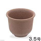 梨地尻丸山草鉢　３．５号　山野草　植木鉢　ミニミニ盆栽鉢