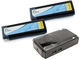 2xパック - Paslode BCPAS-404717SH 互換バッテリー + 充電器 : Paslode 6V 電動 工具用 対応バッテリー,充電器 (1300mAh, 6V, ニカド)
