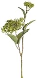 Pack of 12 Budding人工ソフトグリーンSedumスプレーwith Large Leaves 20 "