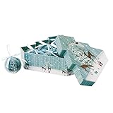 東京堂 クリスマス メナージュレインディア50(6コ入り) XB007579