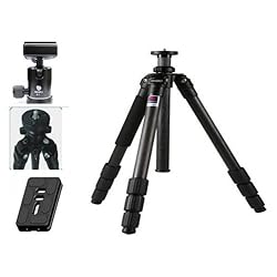 BENRO (ベンロ) 4段三脚 カーボンプロ ナットロック 雲台セット C1580TB1 【並行輸入品】