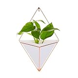 SAVORLIVING 吊りポット 鉄製 プラント/花 植木鉢 移動可能コンテナ 三角形 壁吊り 壁掛け 植物ホルダー 花瓶 プラント/花の展示・ホームインテリアに最適 Plant Pot