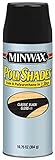 Minwax 495 Classic Black Gloss Stain and Polyurethane 10.75-Ounce Spray [並行輸入品]