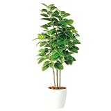 エフプランター 人工観葉植物-アルテシマ株立-200-10号鉢-RP370