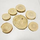 ウッドスライス　約６枚入り [木ドライ アレンジ 資材 花材]