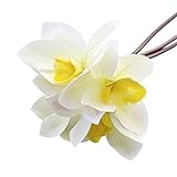 Zhi Jin人工Cymbidium Hybridum花Artsブーケウェディングオフィス部屋装飾1のパック ホワイト