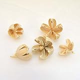 パクリ　5個入り　 [実 ドライ 木の実 アレンジ 資材 花材] (ホワイト（love&peace))