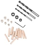 Woodstock D3759 Doweling Accessory Set, 43-Piece [並行輸入品]