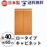 ロータイプキャビネット　幅60　奥行40 （LUC-6040） (ライトブラウン)