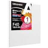 AUREUO 張りキャンバス セット F40 (116.7cmX91cm) 中目 全麻 1枚 リネン 専門の絵画用具 芸術絵創作 現代油絵 美術装飾 水彩画・油絵画・アクリル兼用…