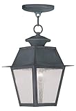 Livex Lighting 2164-61 Mansfield 1-Light Outdoor Chain Hang, Charcoal [並行輸入品]