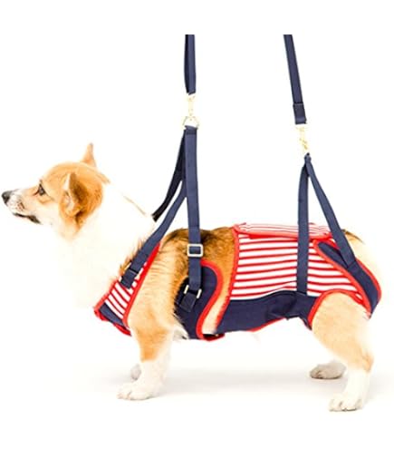 With(ウィズ) 歩行補助ハーネス LaLaWalkコーギー Kabuki Amazon | With(ウィズ) 歩行補助ハーネス LaLaWalk 中型犬・コーギー用