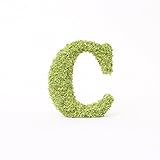 A plus floral art インテリアグリーン イニシャルモス [ C ] アルファベット オブジェ 置物 苔 イニシャル 雑貨 北欧風 インテリア