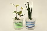 【ズボラさんでも大丈夫!!自動給水だからお世話が簡単です♪】　観葉植物　ハイドロカルチャー　自動給水器　アクアサンド　緑・青２個セット